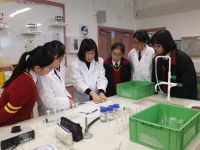 02. Development of Teaching Kit on Chemical Testing from HKBU