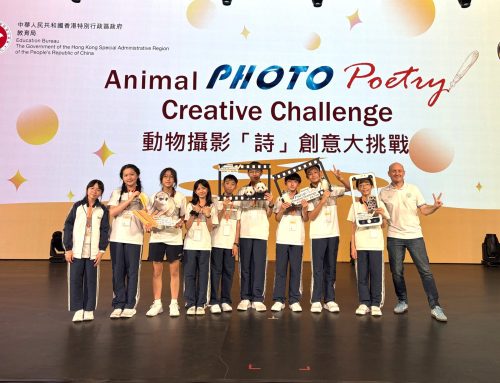 Animal Photo Poetry Creative Challenge 2026